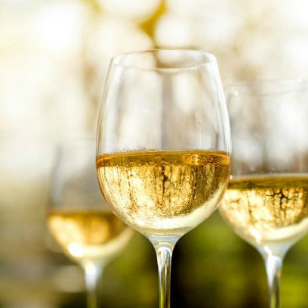 > Hvidvin Chokoart I/S